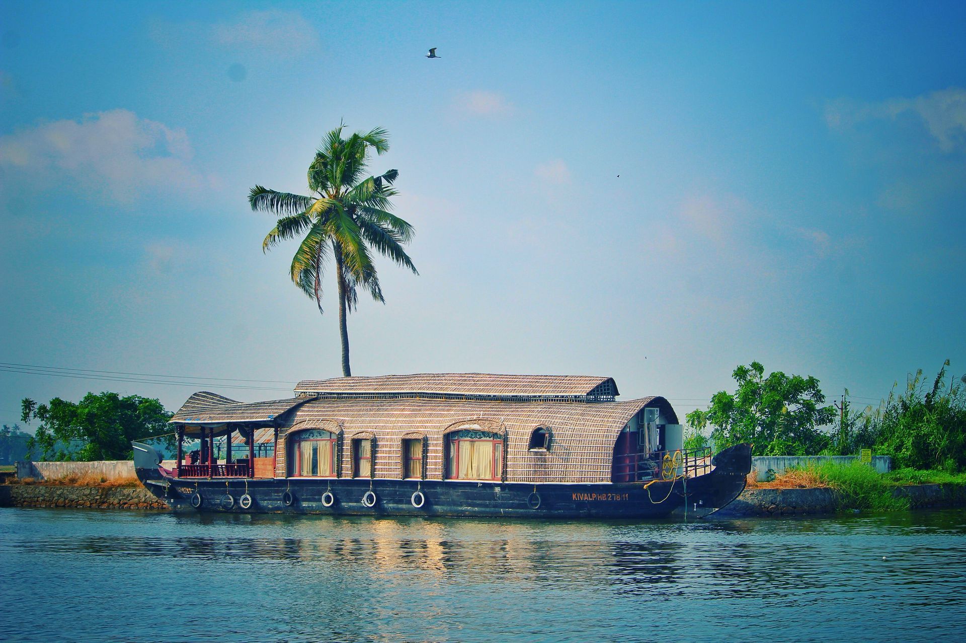 houseboat on the river by a coconut tree