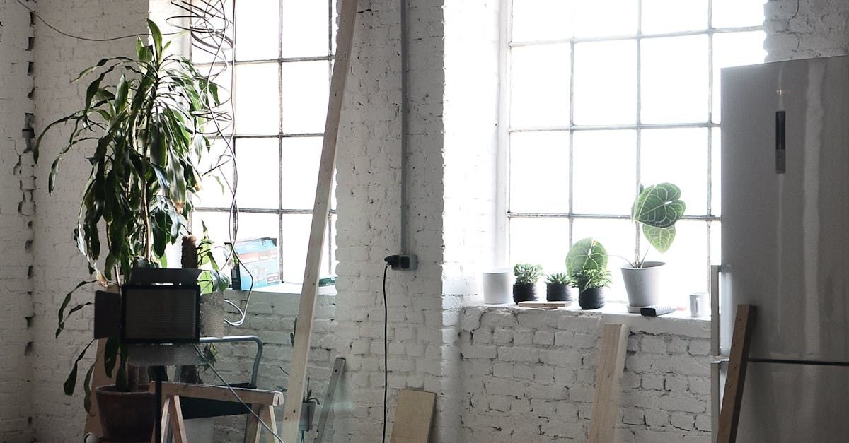 Brightly lit interior with large windows, plants, and a refrigerator.