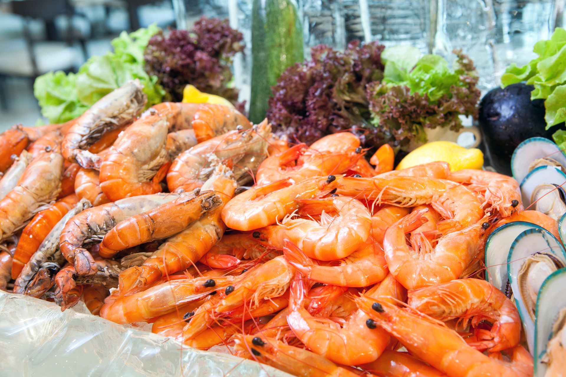 Prawn on ice