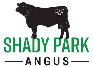 Shady Park Angus - logo
