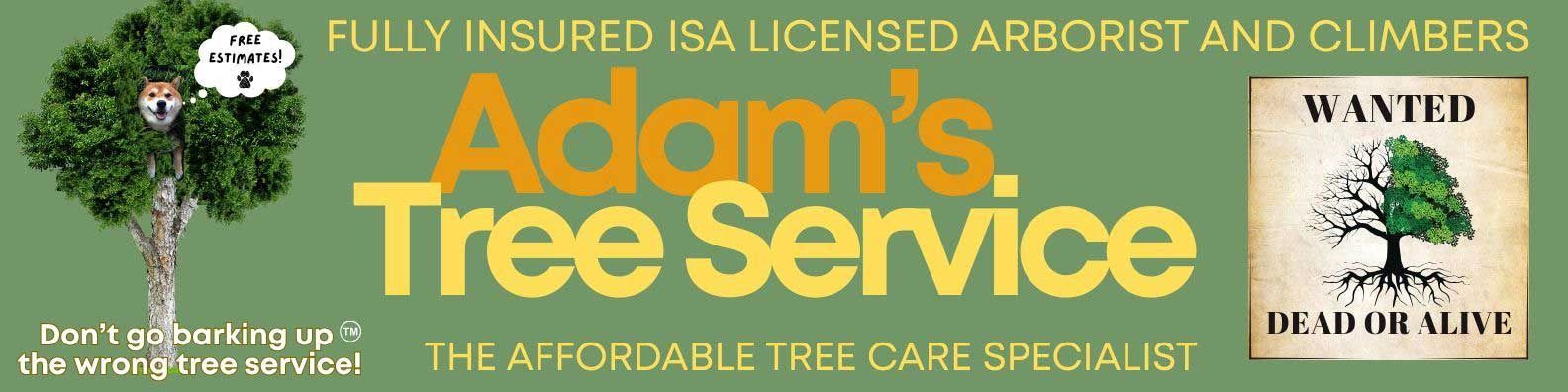 Adam's Tree Service banner: Tree with dog in it. 