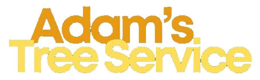 Adam's Tree Service logo in yellow and gold lettering.