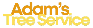Adam's Tree Service logo in yellow and gold lettering.