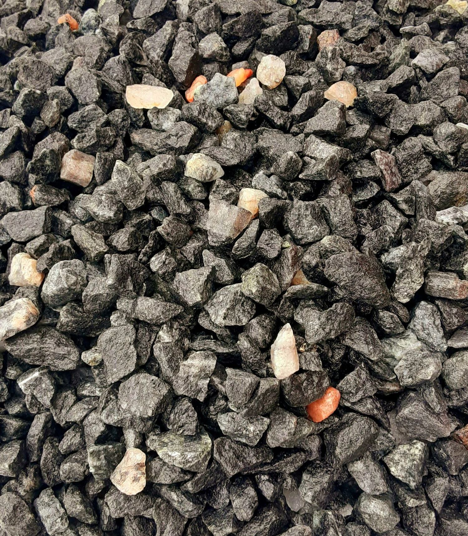 Infield Mix