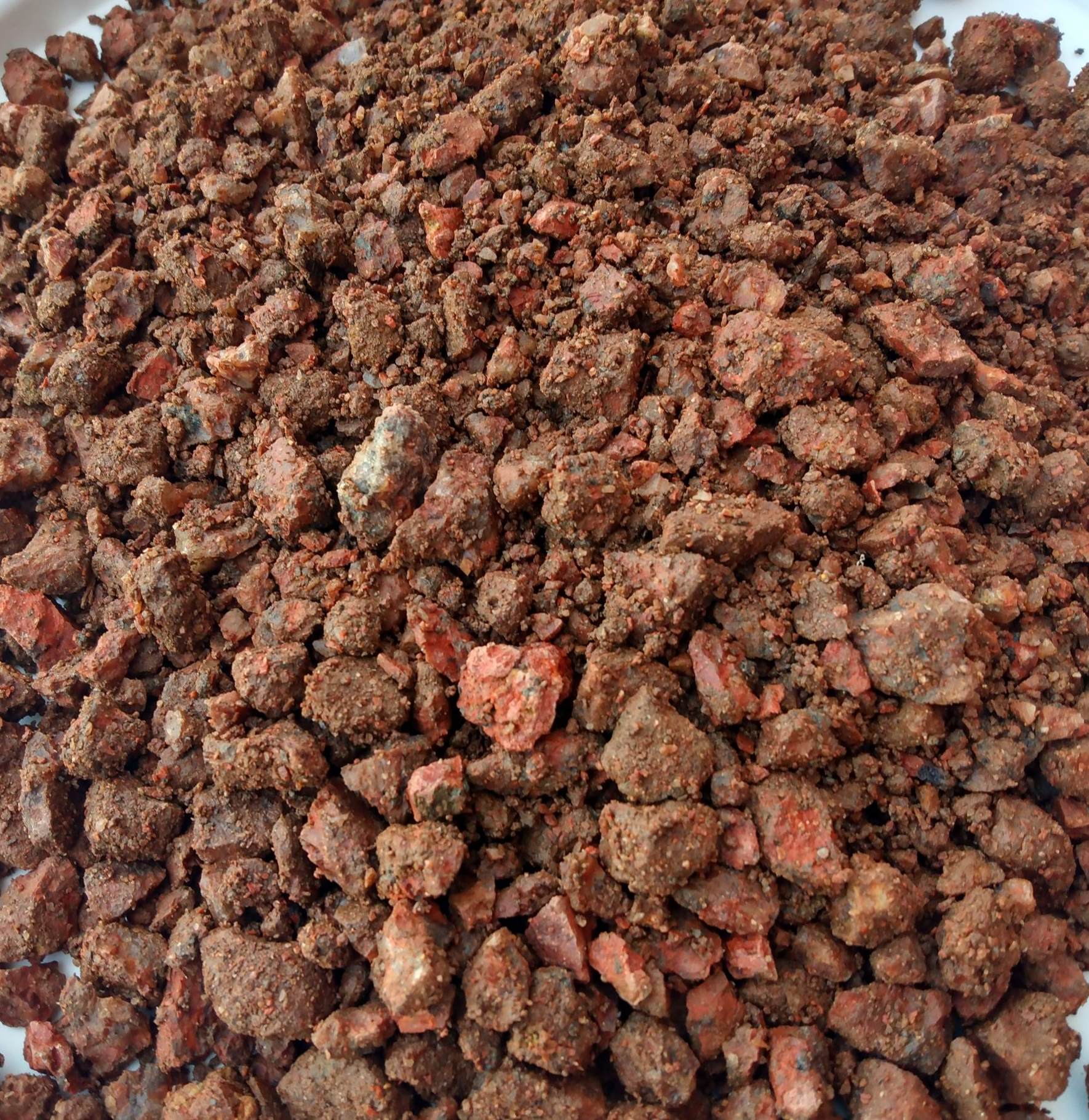 A white plate topped with a pile of brown rocks.