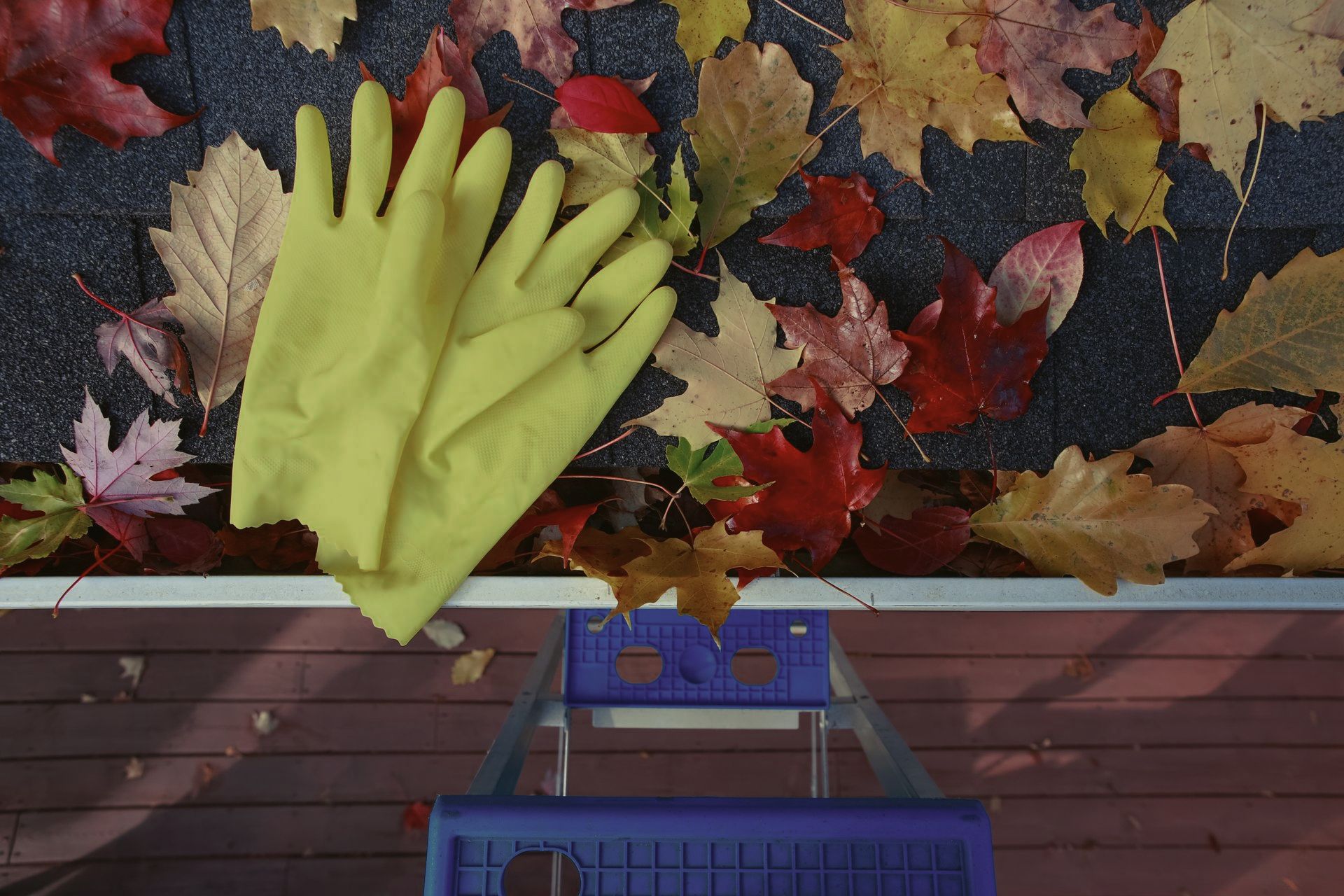 A pair of yellow gloves sitting on top of a blue ladder surrounded by leaves.