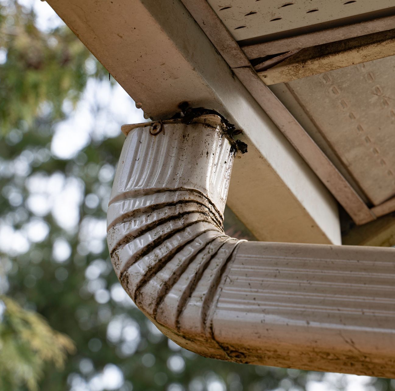 downspout-9bf6cad5-1920w.jpeg