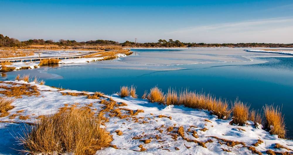 winter on marland's eastern shore