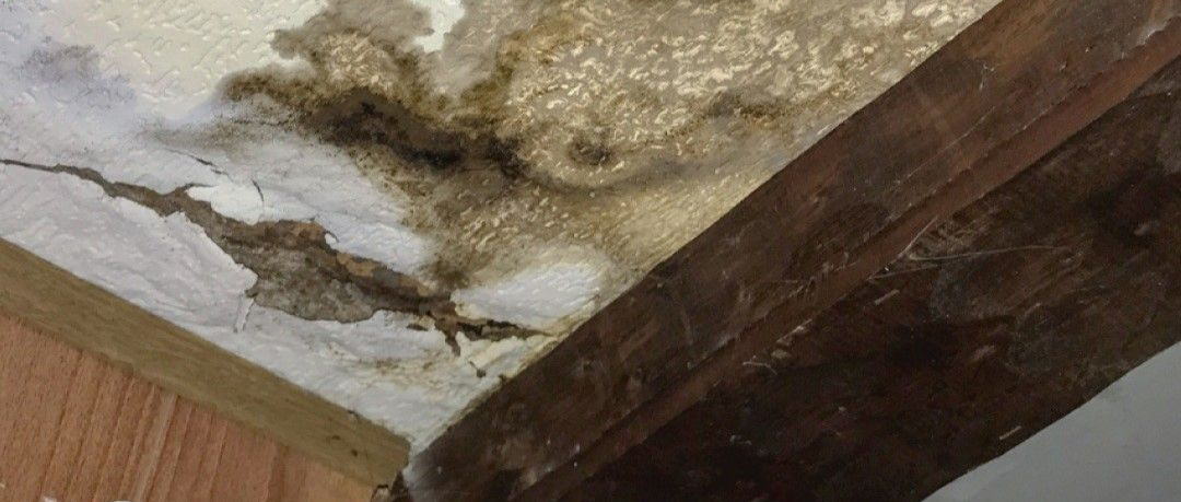 Ceiling with water damage and brown stains near a wooden beam.