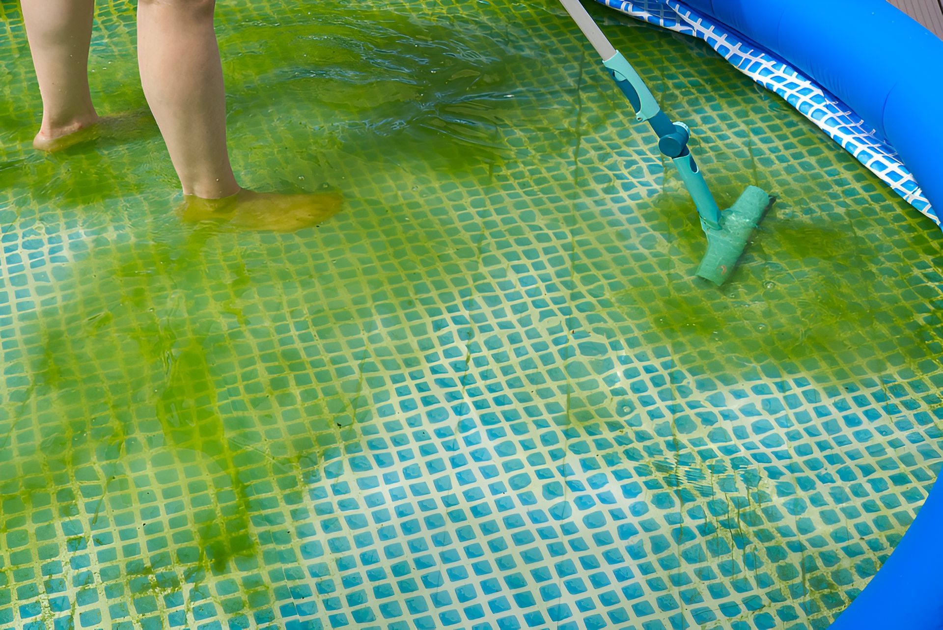 Person Cleaning a Green Algae-filled Inflatable Pool — Landsborough Pool Supplies & Service in Glass House Mountains, QLD