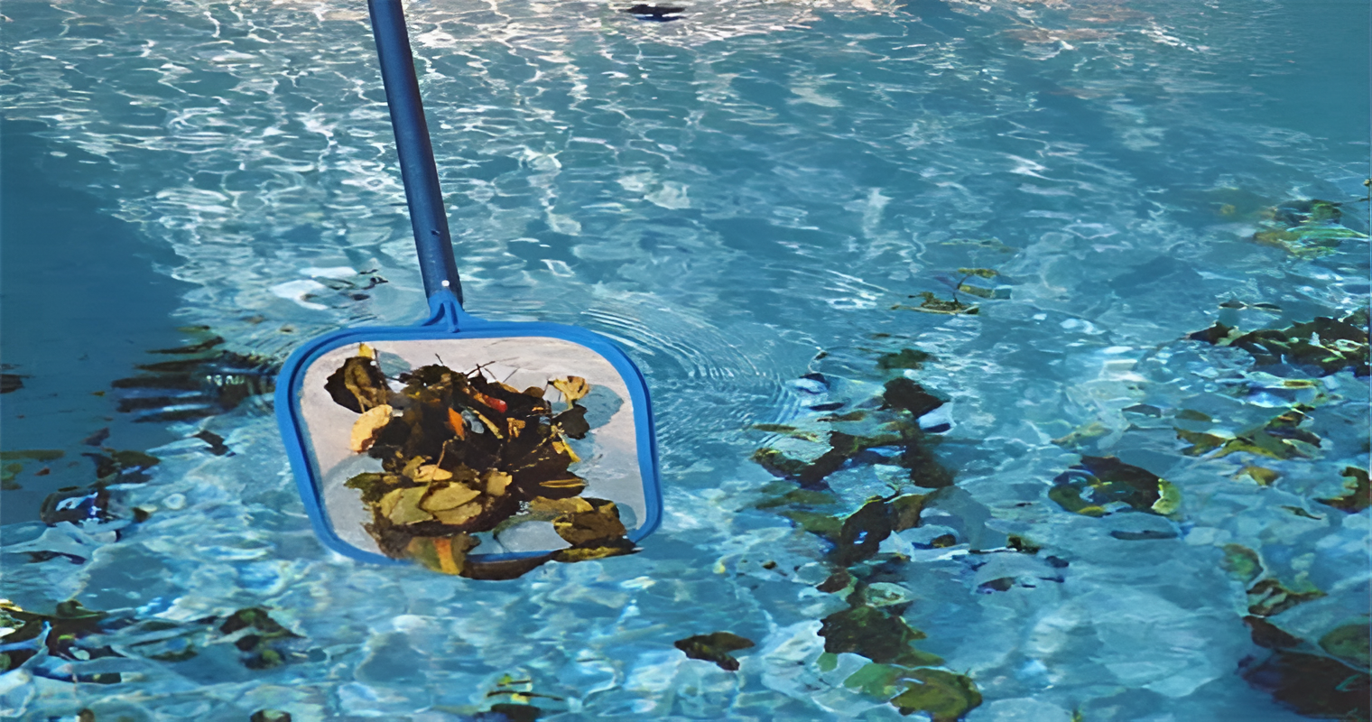 A Pool Skimmer Net Filled With Leaves — Landsborough Pool Supplies & Service in Landsborough, QLD