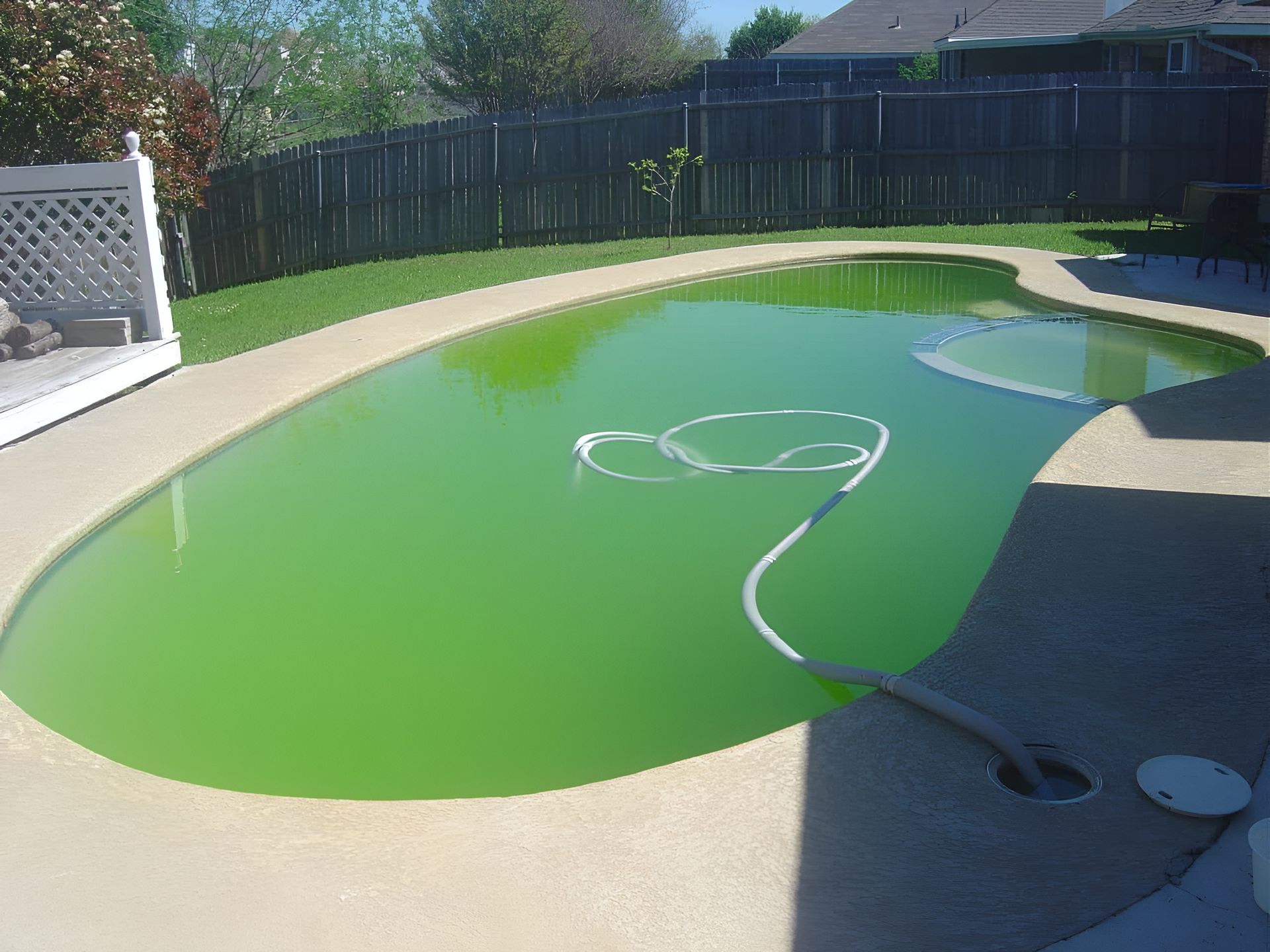 Green Algae-filled Swimming Pool — Landsborough Pool Supplies & Service in Landsborough, QLD