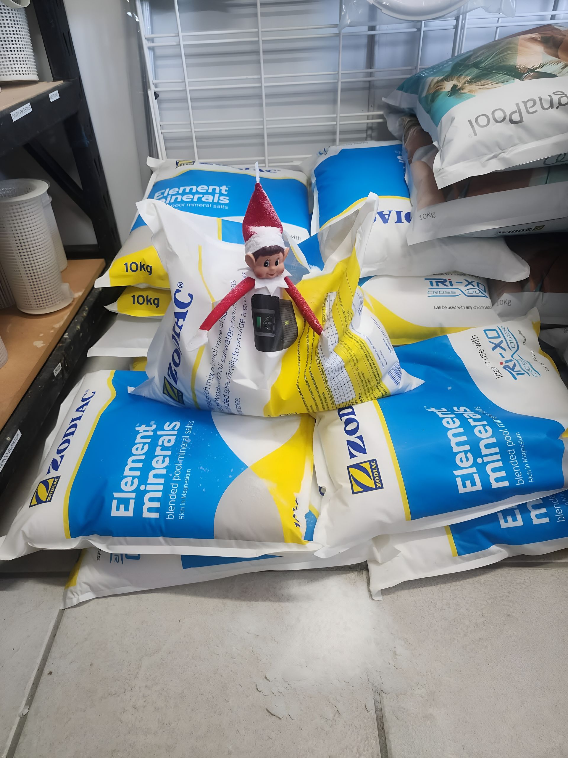 An Elf on the Shelf Doll — Landsborough Pool Supplies & Service in Landsborough, QLD