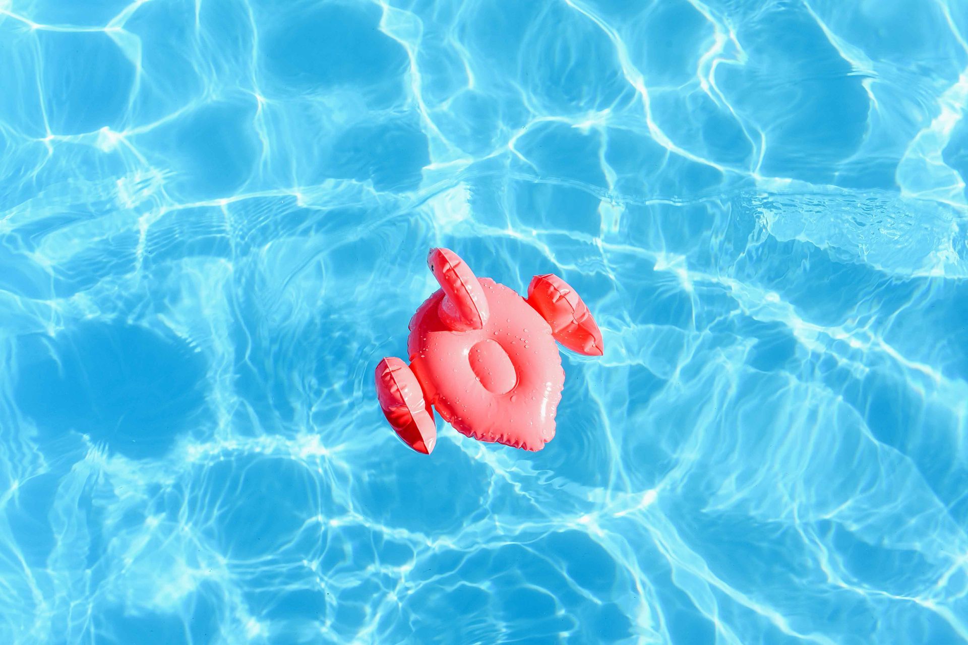 Swimming Circle In The Form Of A Pink Flamingo In The Pool — Green Valley, AZ — Green Valley Pools & Spa
