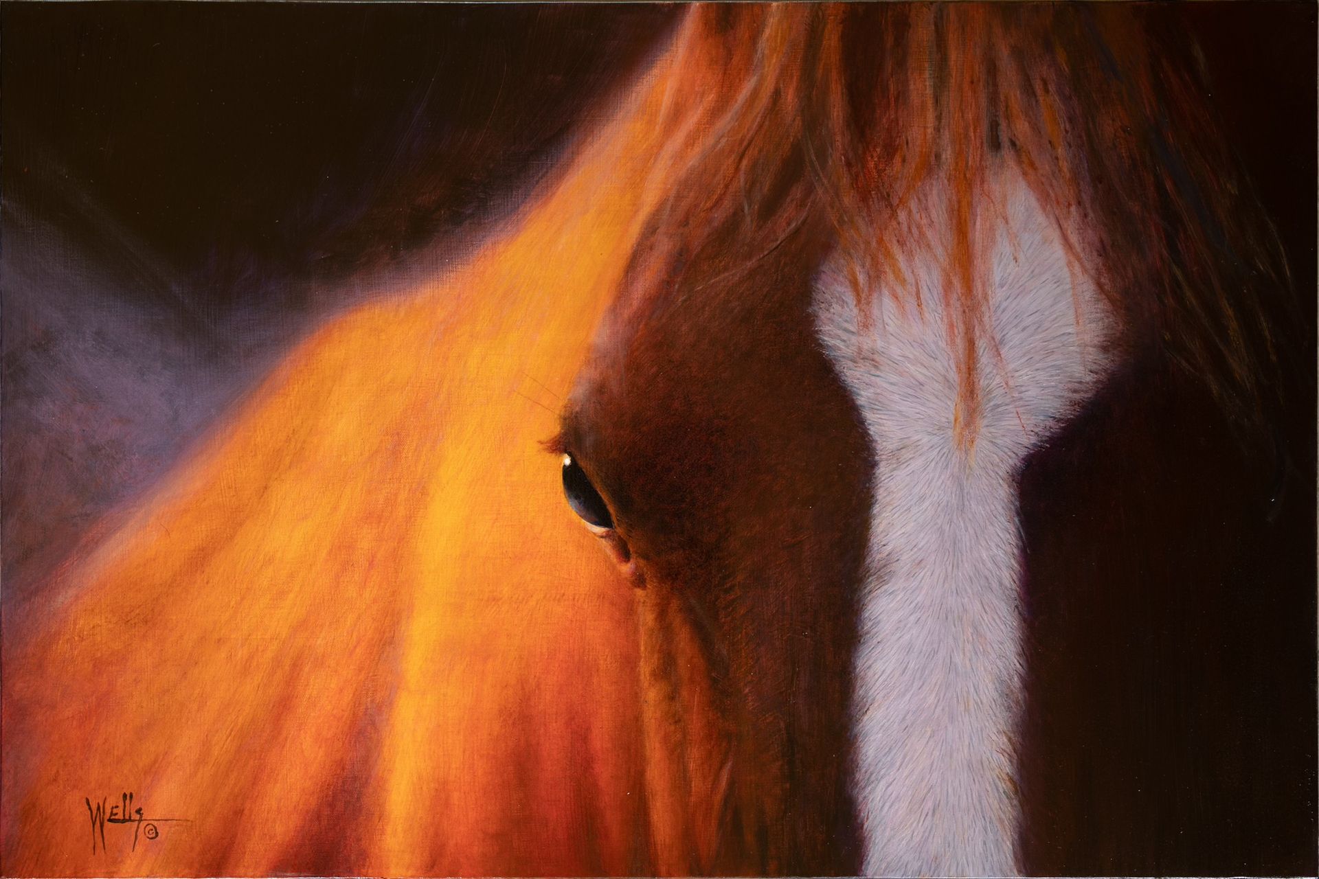 Horse — Salado, TX — Wells Studio & Gallery