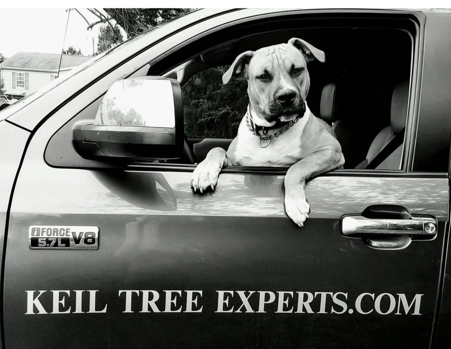 Contact Keil Tree Experts for professional tree fertilization in Maryland