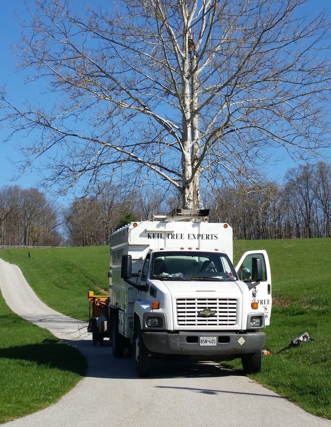 White Keil Tree truck parked on a driveway near a tall tree with bare branches on a sunny day.