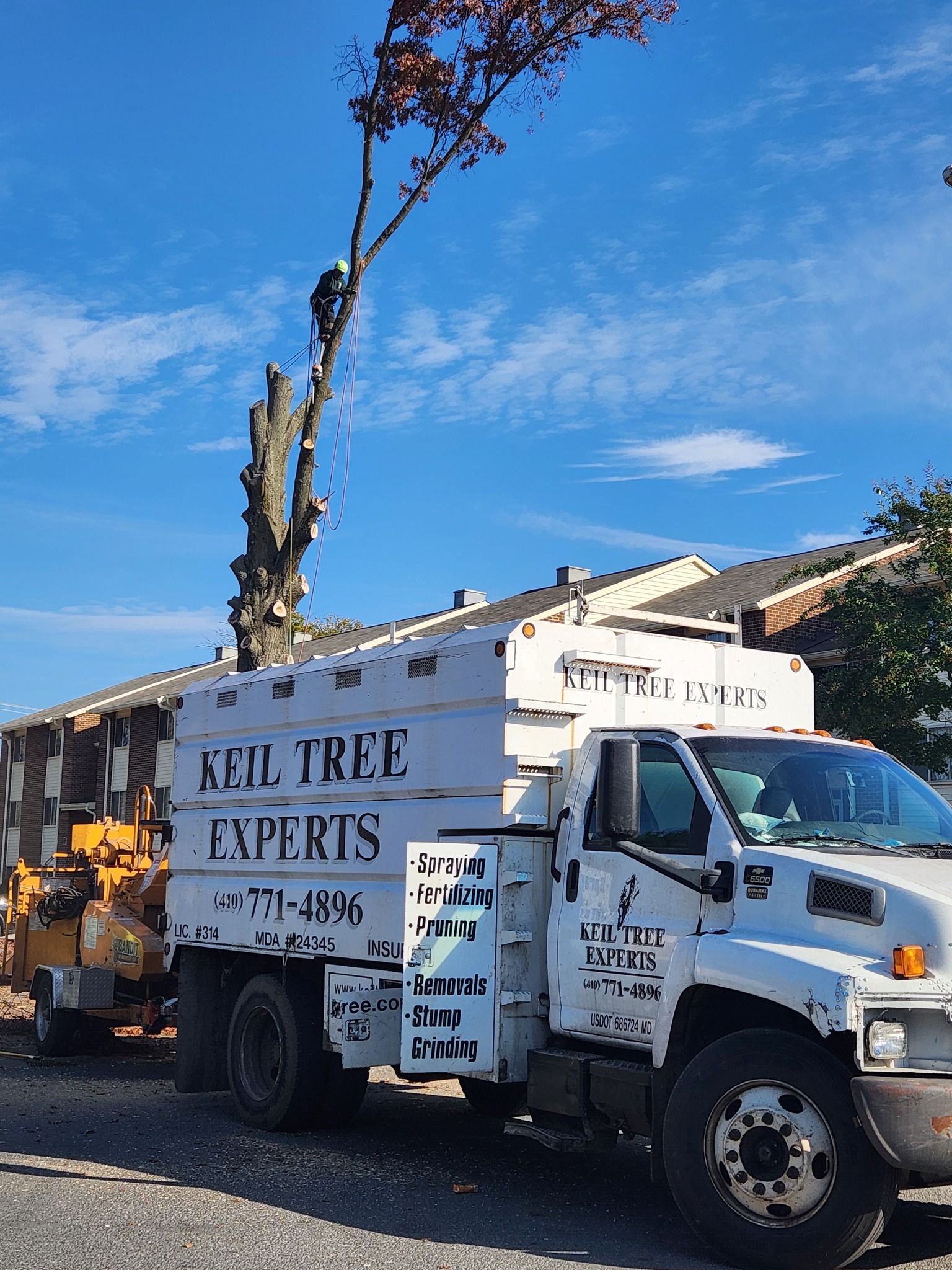A white truck that says east tree experts on the side