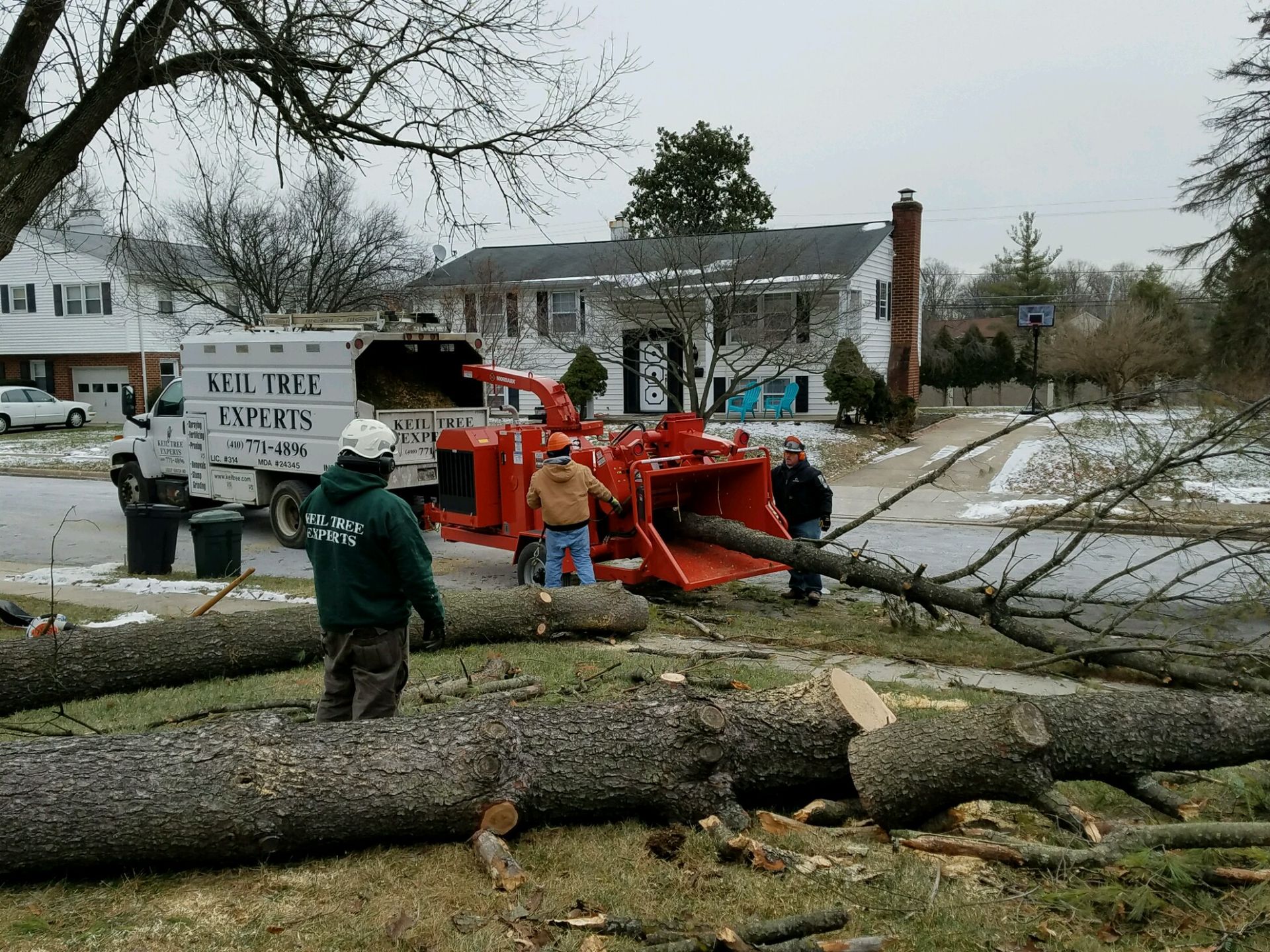 A tree stump is being removed from a yard