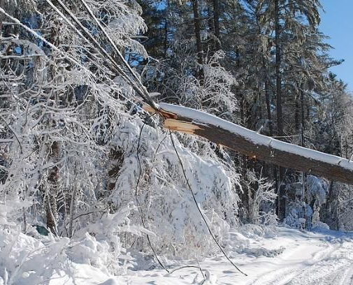 Fallen snow-covered tree with broken branch, tangled with power lines, blocking a snow-covered road in a forest.