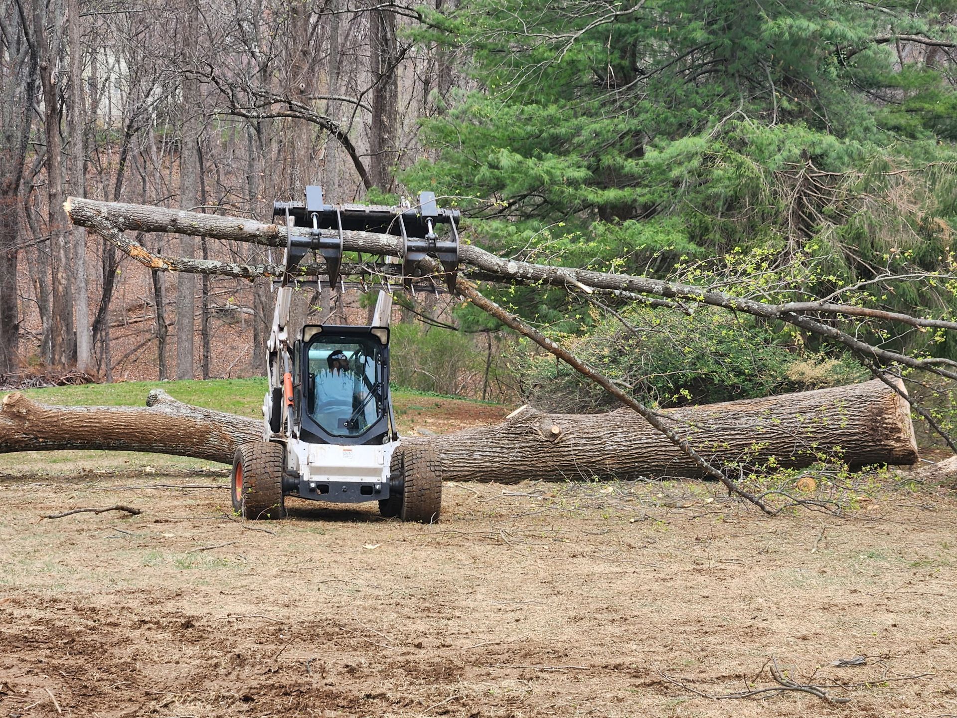 Tree removal in progress in Maryland with heavy equipment lifting large tree trunks on a cleared residential property