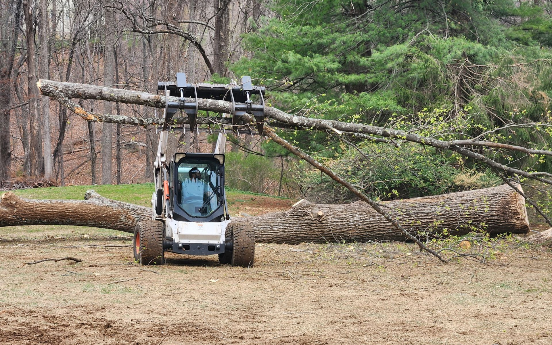 Bobcat skid-steer loader with grapple attachment lifting a tree branch. Outdoors, on dirt.