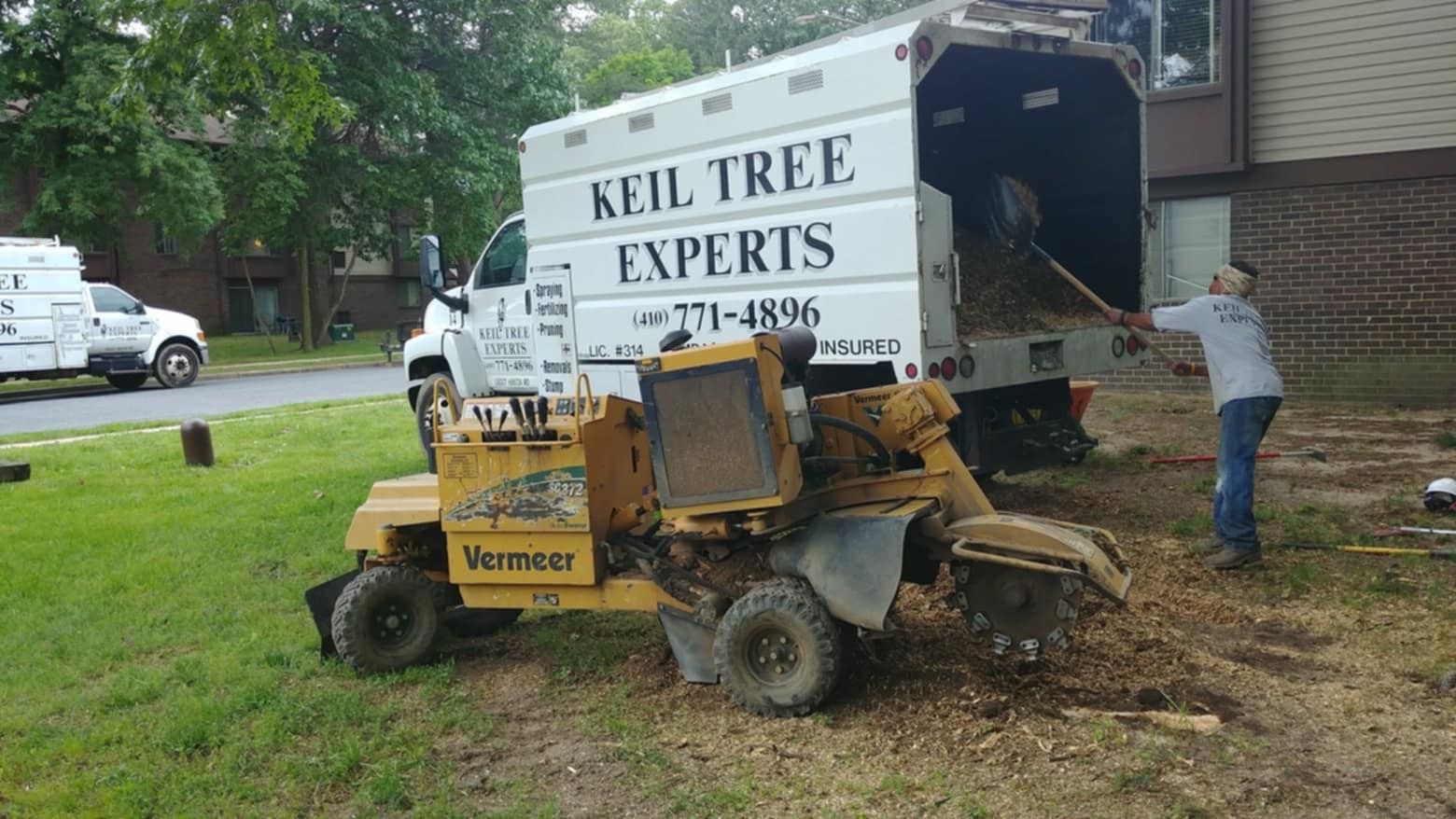 A stump grinder is sitting in front of a keil tree experts truck.