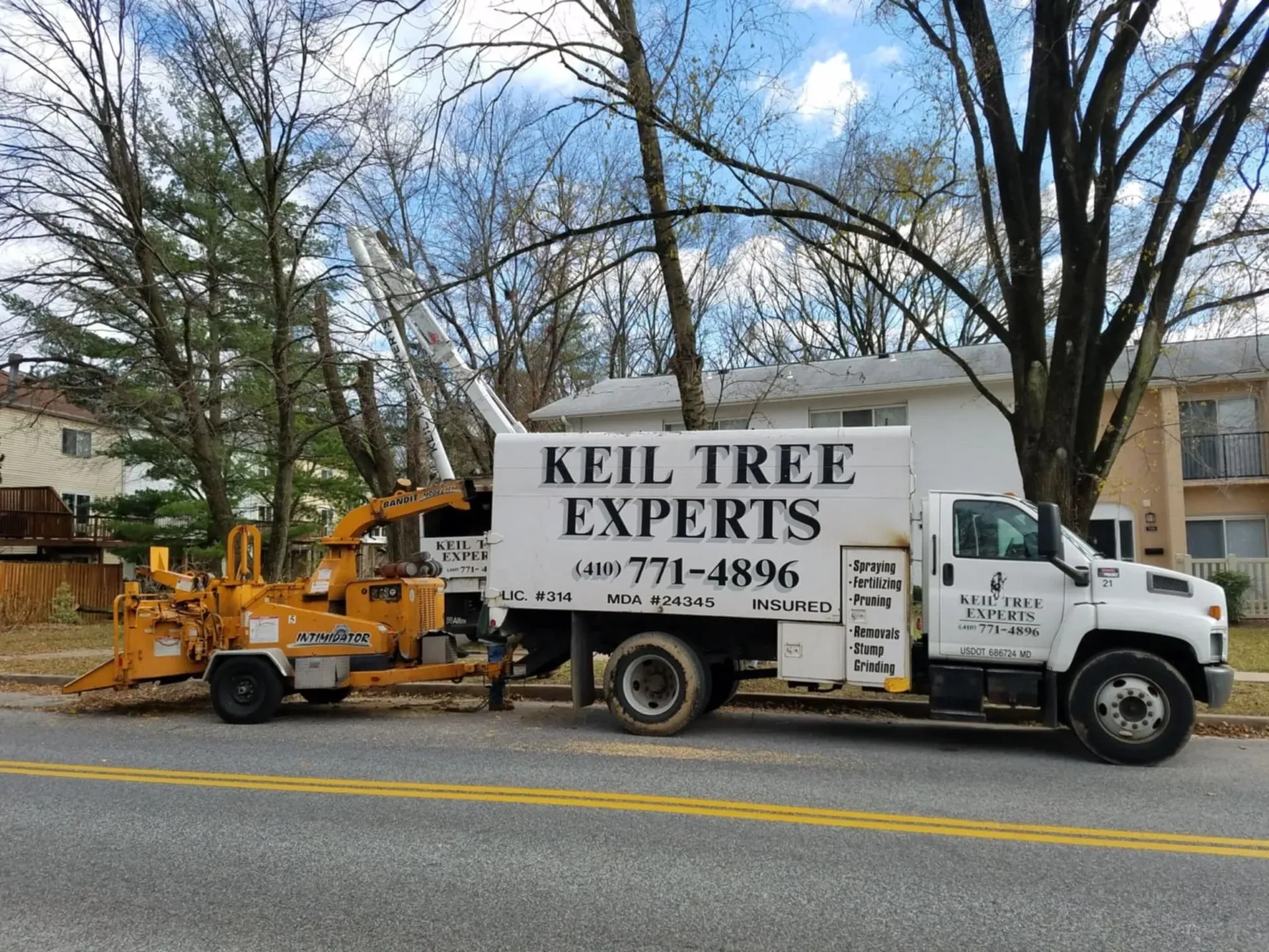 Expert tree removal company preparing to take out a hazardous tree
