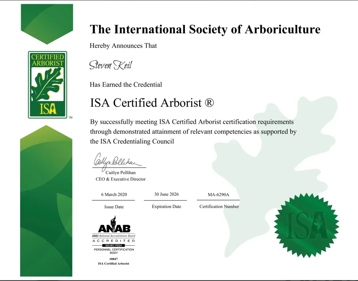 A certificate from the international society of arboriculture