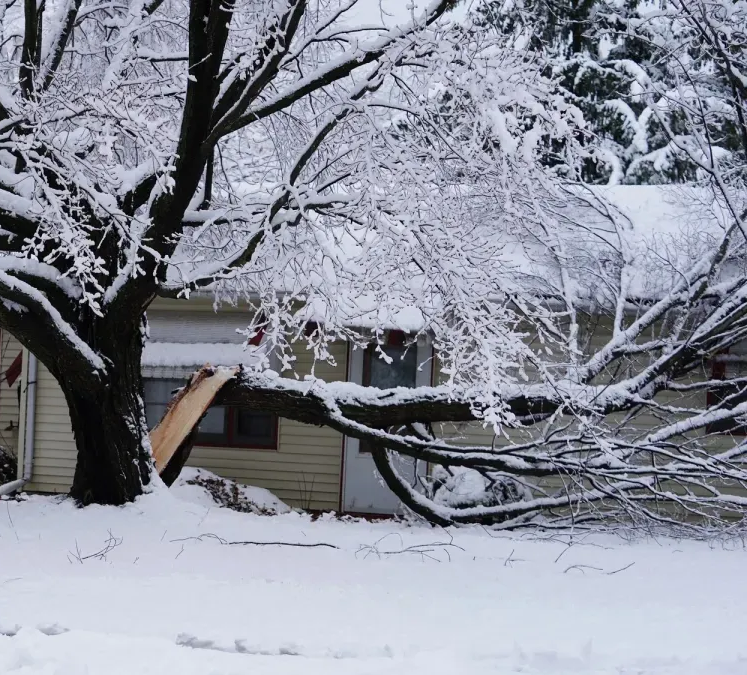 Snow-covered tree branch fallen on a house, in a snowy setting.