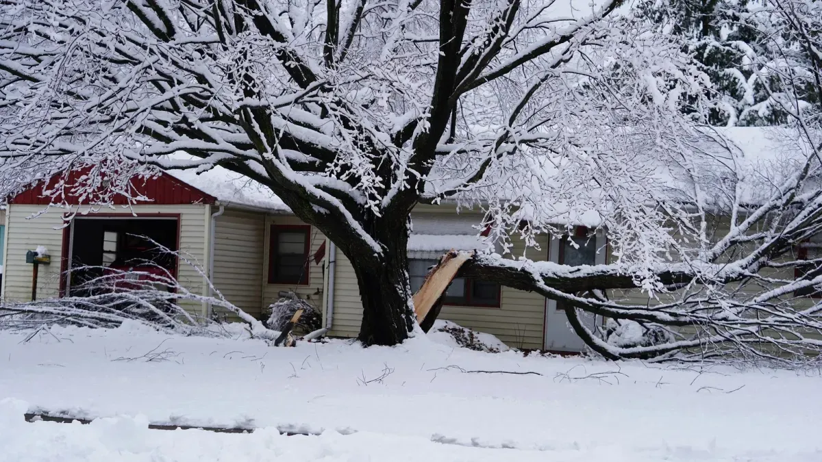 Snow-covered house with a large tree in front. A branch has broken and is resting on the roof.
