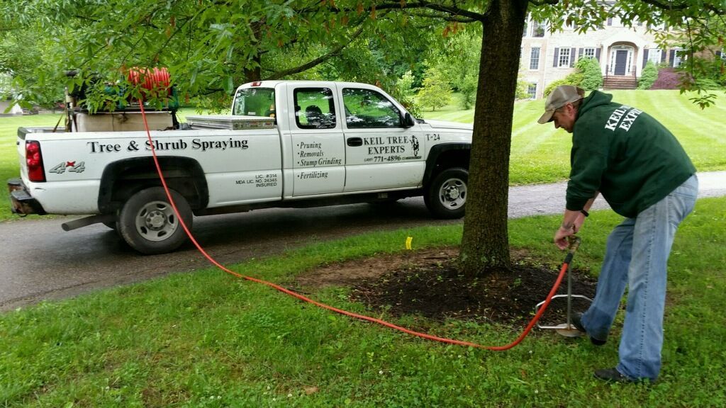 A man is working on a tree in front of a tree service truck
