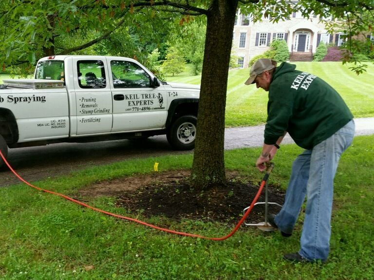 Direct root fertilization for tree health in Maryland by Keil Tree Experts