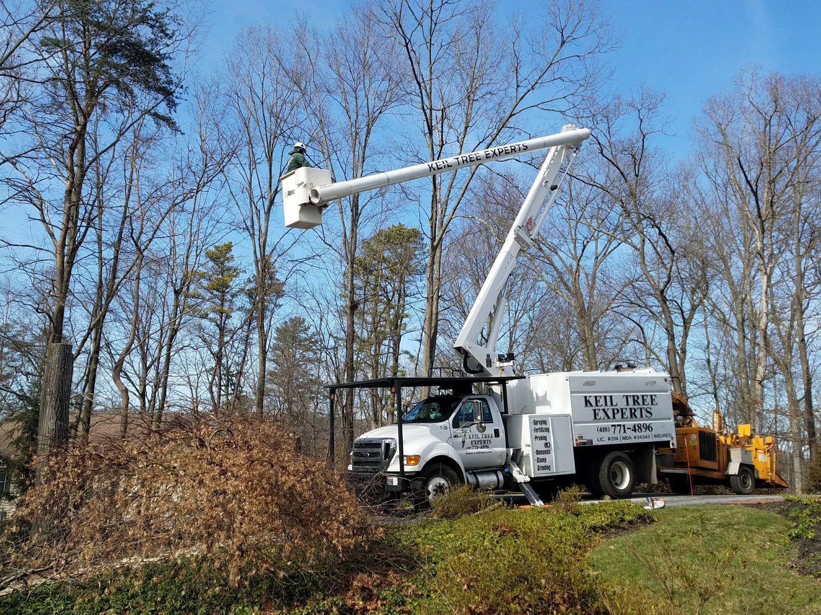 A white truck with a crane on top of it is cutting trees.