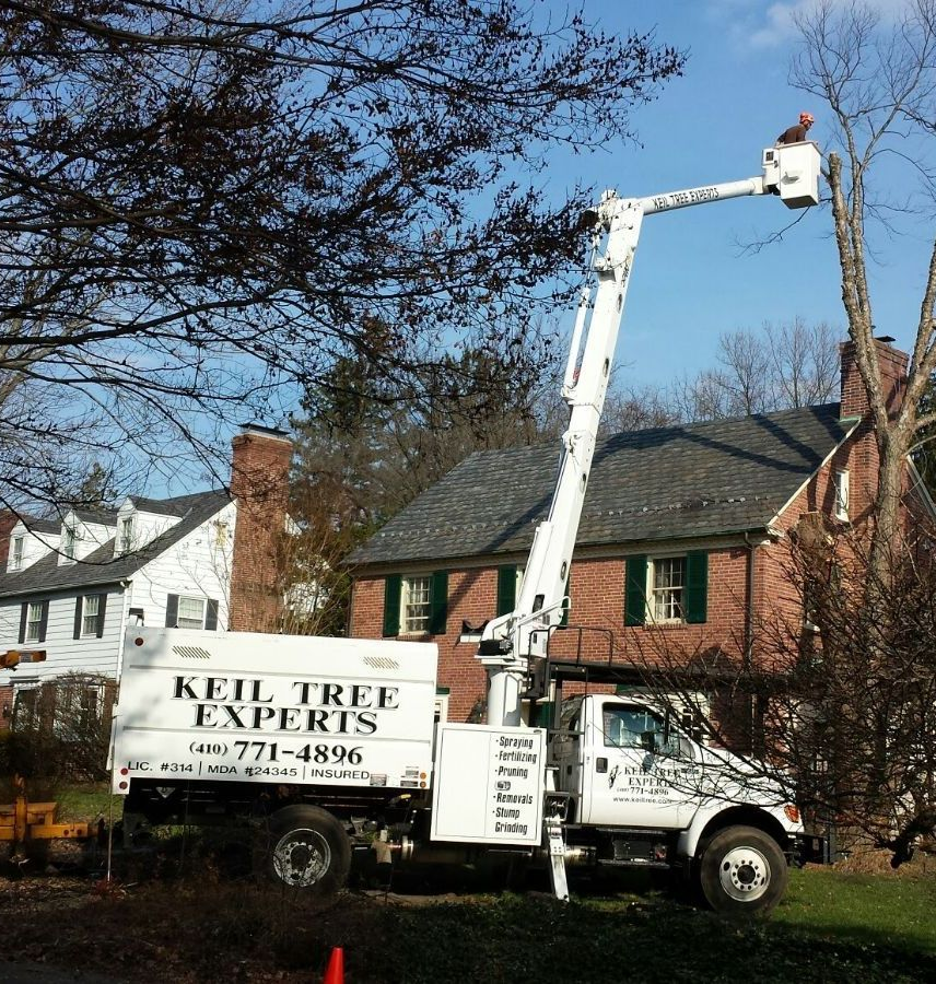 Keil Tree Experts truck with a bucket lift trimming a tree in front of a brick house.