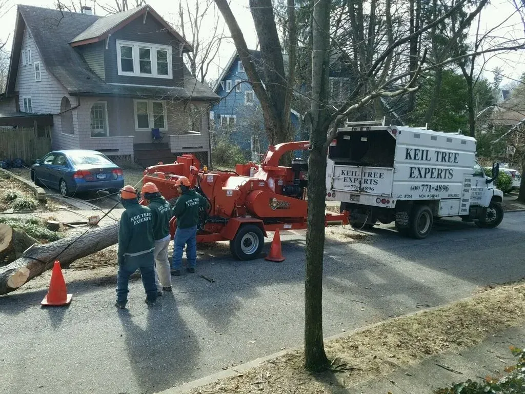 A key tree experts truck is parked in front of a house