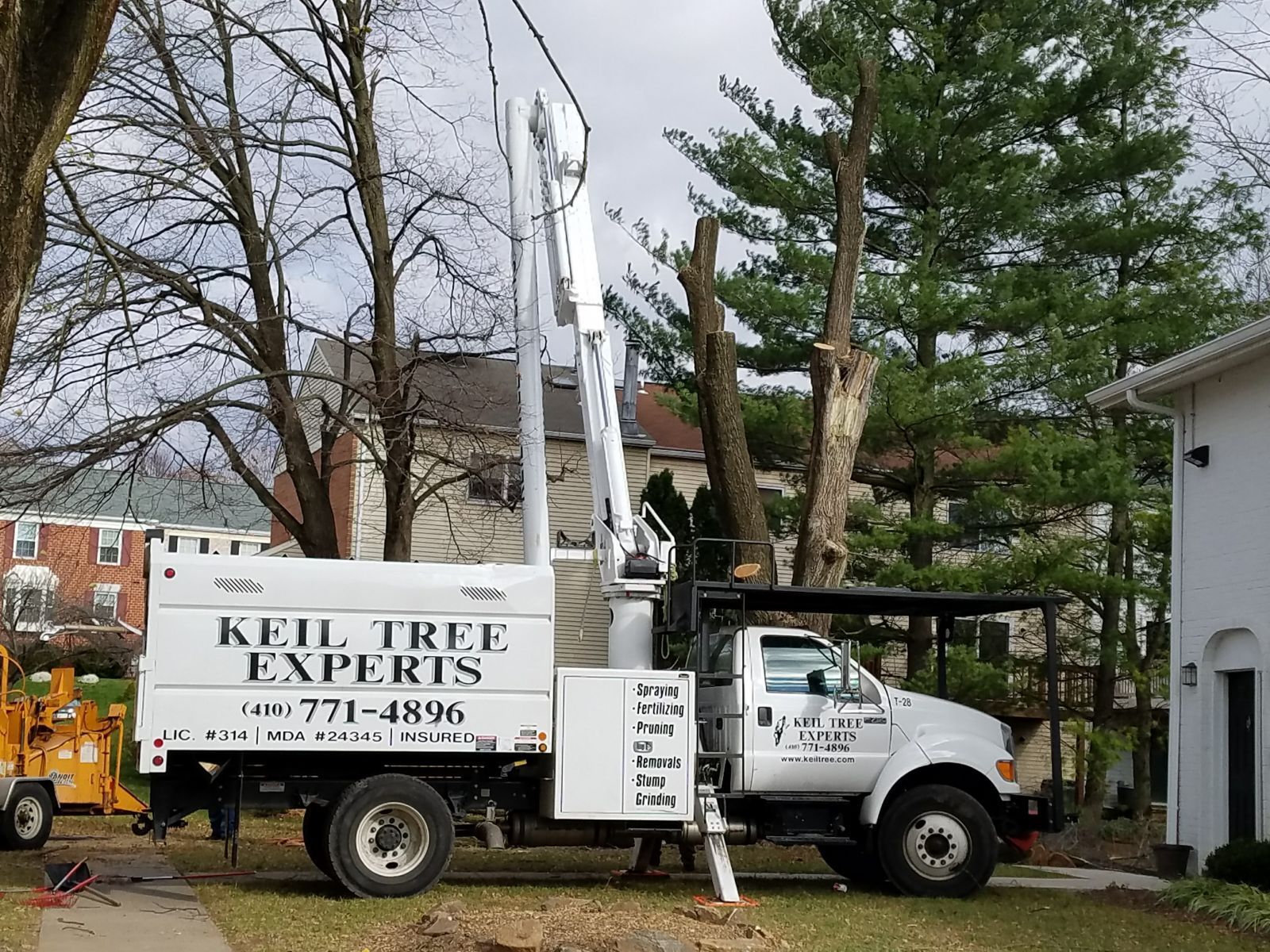 A white bucket truck from Keil Tree Experts parked on a lawn during a tree-trimming job.