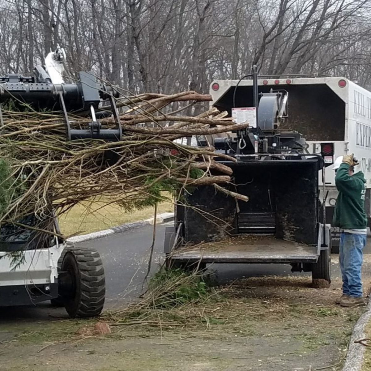 Three tree service workers operate a wood chipper attached to a truck on a residential street.