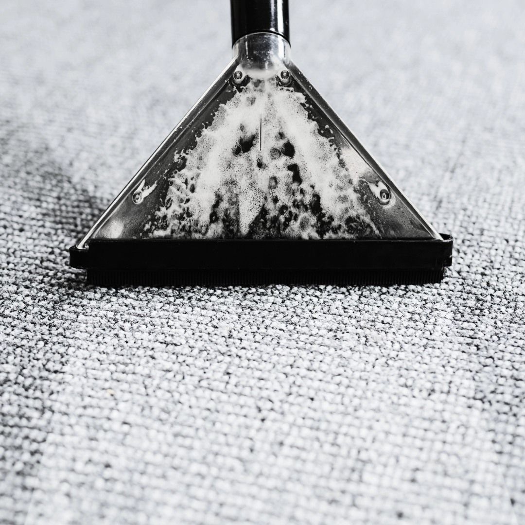 A black and white photo of a vacuum cleaner cleaning a carpet.