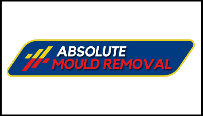 Absolute mould removal logo on a white background