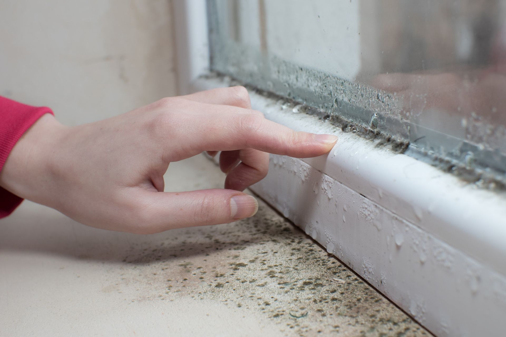 dangerous black mould growing in a damp family home under the window sill.