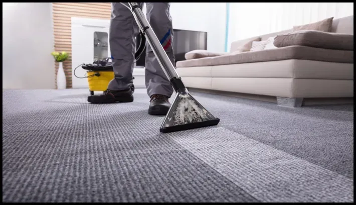 Professional carpet steam cleaning in a modern home