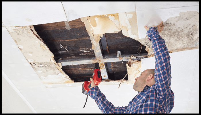 Tradesperson using a power drill to repair a ceiling with extensive water damage and mould exposure.