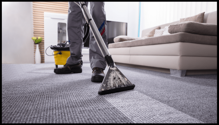 Professional carpet steam cleaning as part of a deep residential cleaning service.