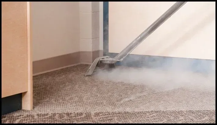 Steam cleaning carpet with hot water extraction