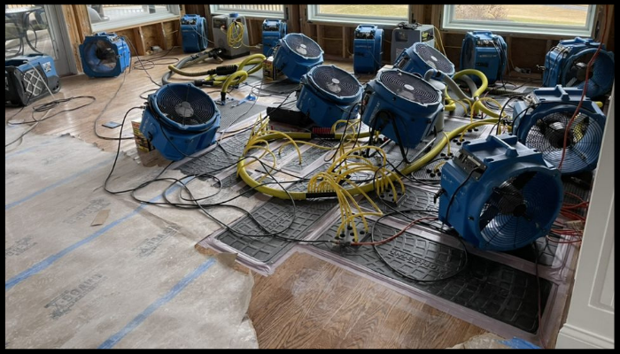 Multiple industrial air movers and dehumidifiers drying water-damaged flooring in a home with large windows