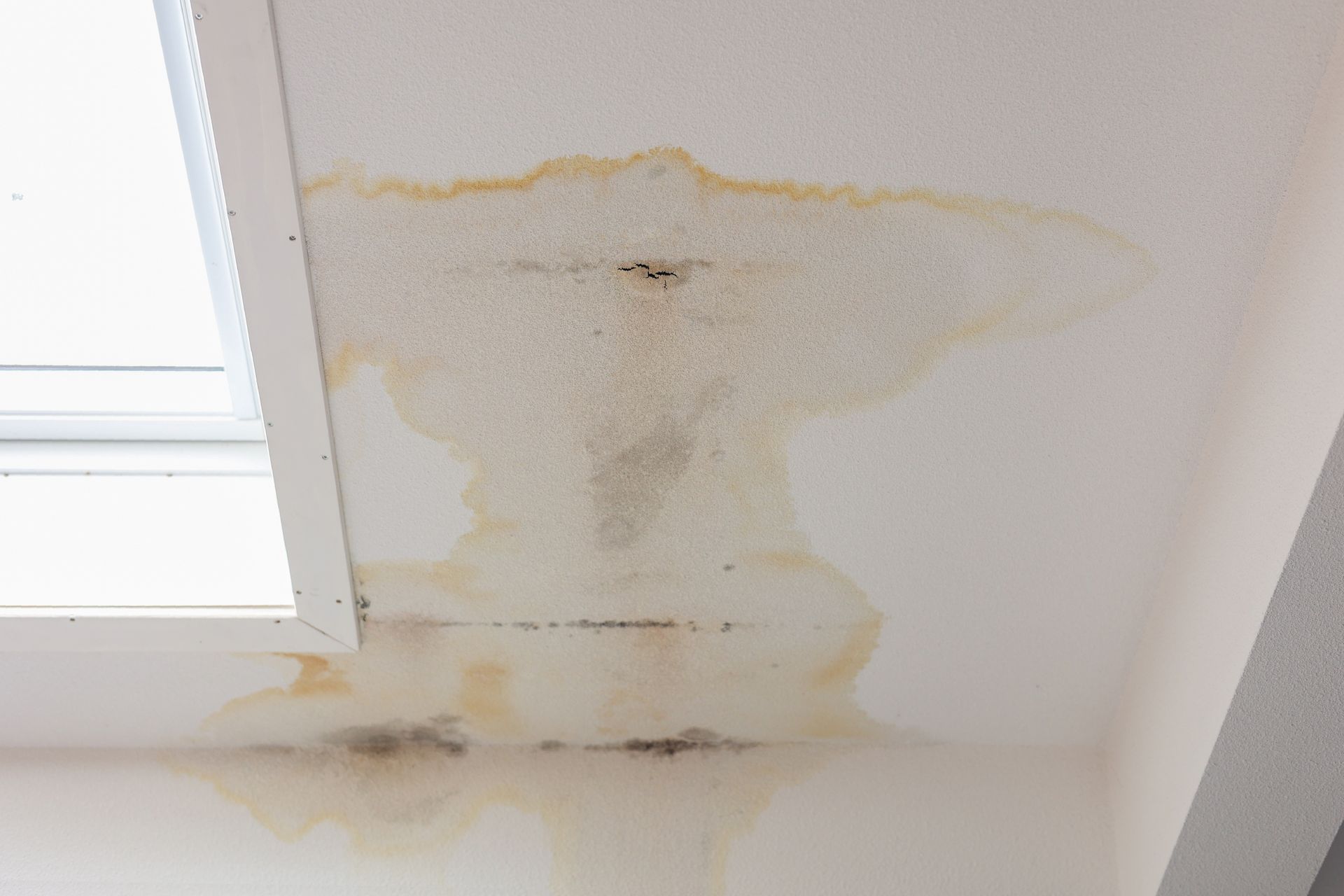 A ceiling with water stains on it and a window in the background.