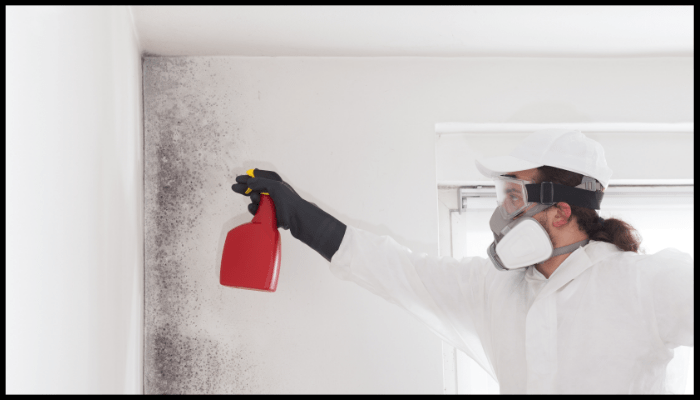 Technician in protective gear spraying mould remover on a contaminated wall during the restoration process after water damage