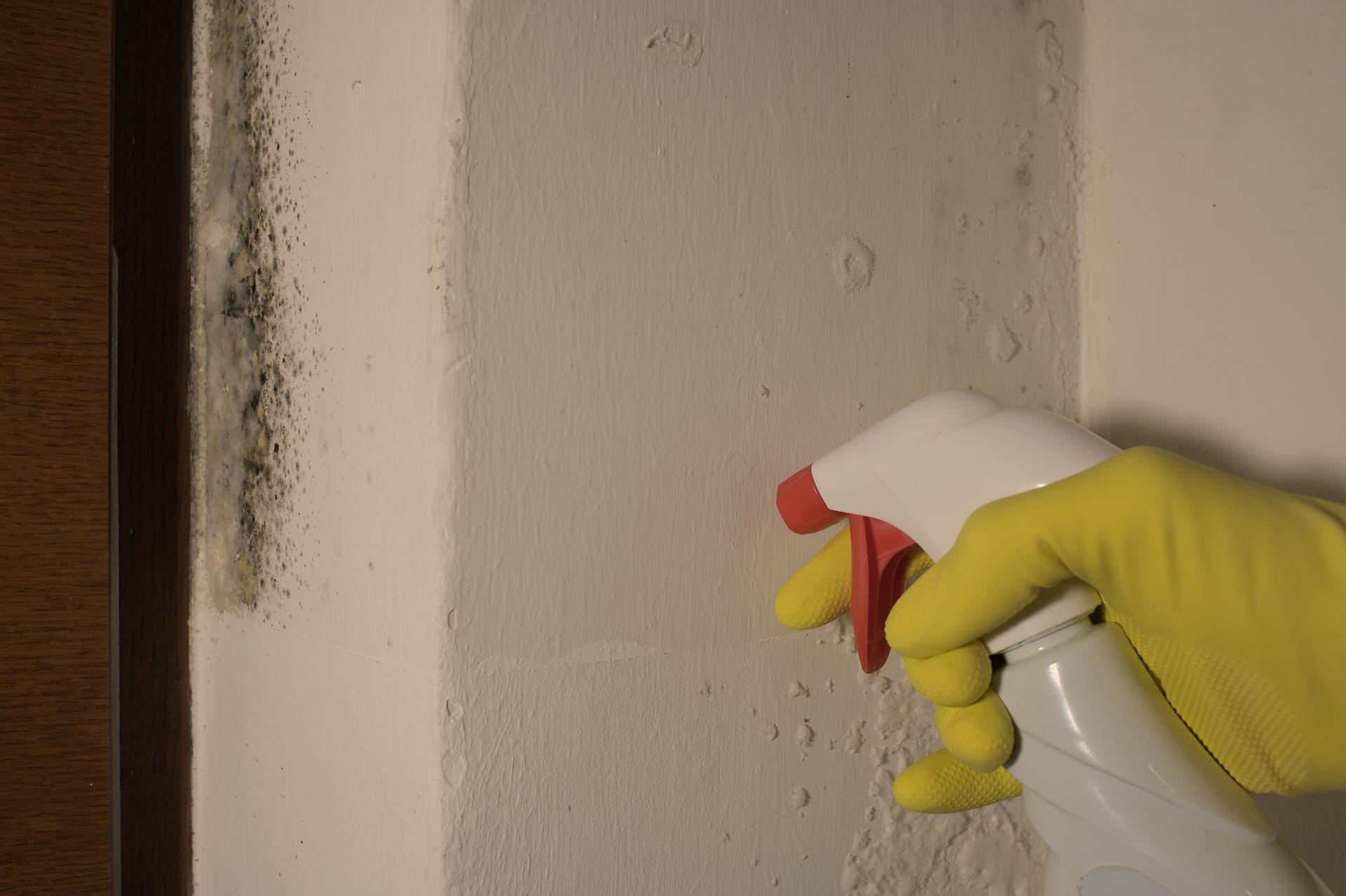 A picture of black mould growing on the bedroom wall.