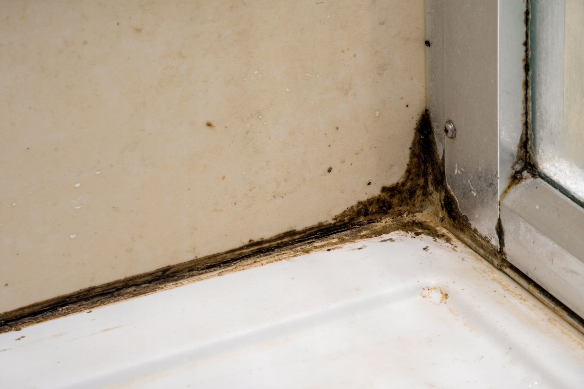 A close up of a moldy shower corner in a bathroom.